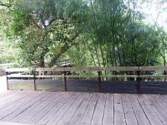 149 BIO PARC DE DOUE LA FONTAINE 2- 2016_000056